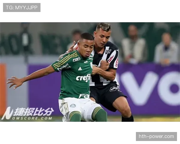 帕尔梅拉斯最新消息：球队近期动态与赛程安排